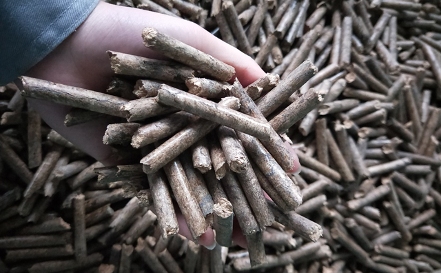 鋸末顆粒機(jī)顆粒，一種快速增長的能源載體
