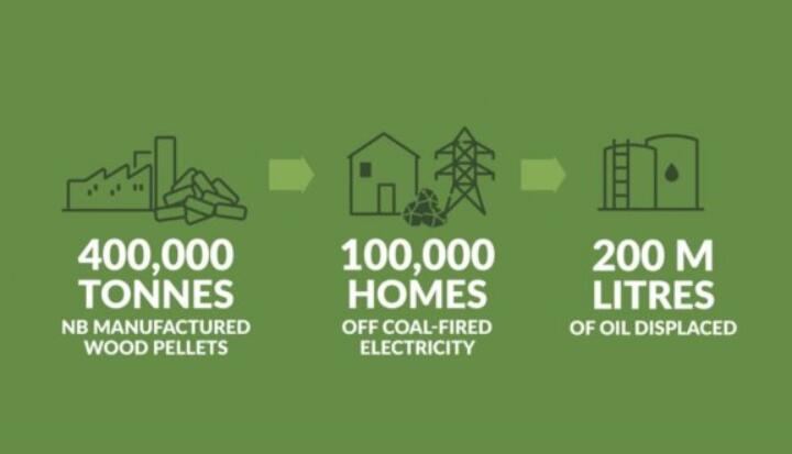 全球48%的木屑顆粒消費(fèi)來自住宅和商業(yè)建筑。從2020年到2021年，歐洲家庭生物質(zhì)消費(fèi)量增長了18%，商業(yè)應(yīng)用增長了12.5%。