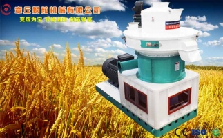 中國創(chuàng)新提速，綠色經(jīng)濟之離心高效環(huán)模顆粒機