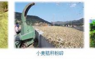 農(nóng)民科學(xué)發(fā)展新思路，秸稈綜合利用成為賺錢好門路之秸稈顆粒機