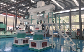 木屑顆粒機多少錢一臺?建顆粒廠大約多少錢？