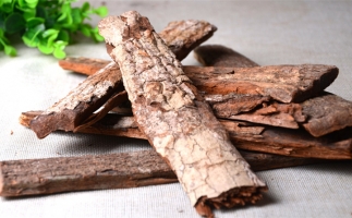 木材加工廠的廢棄物刨花能夠用來做什么？鋸末顆粒機告訴你