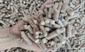 木材加工廠木屑堆積如山，環(huán)保部門令趕緊處理怎么辦？有它就夠了