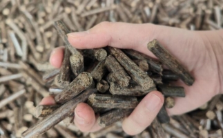 木屑燃料顆粒熱值多少大卡，完全取決于燃料的原料